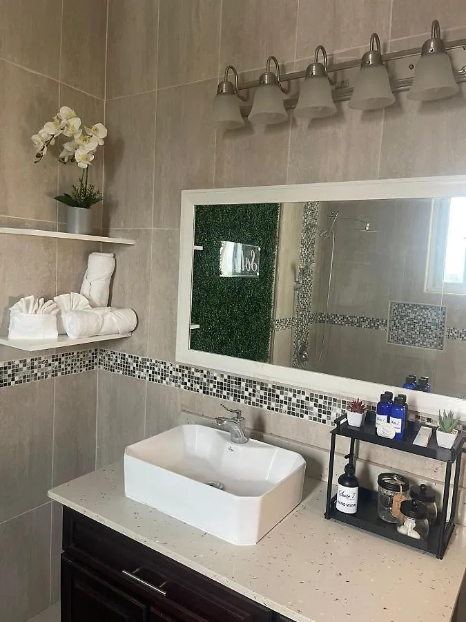 Apartment Suite 7 At The Rochesters Kingston